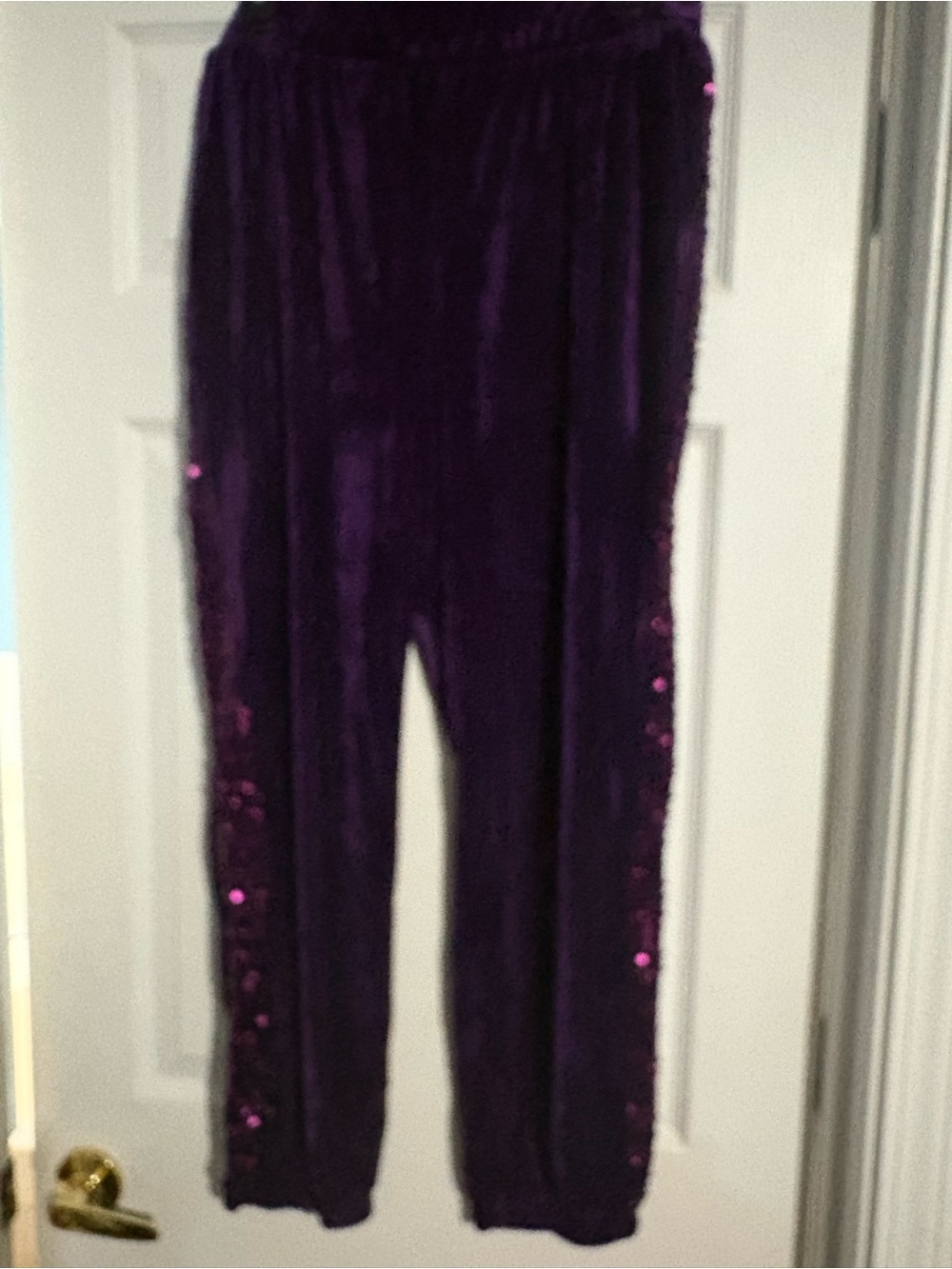 Plush Velvet Sequin-Trim Women's Pants in Deep Purple